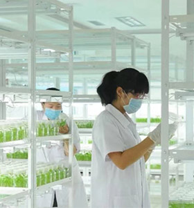 香蕉视频下载地址链接仪器