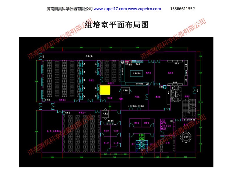 香蕉视频下载地址链接室