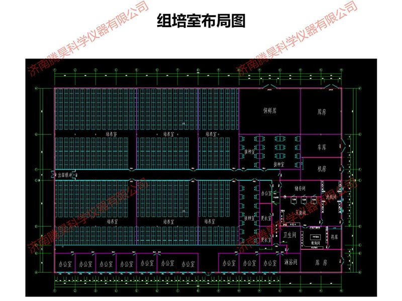 张家口香蕉视频下载地址链接室设计图