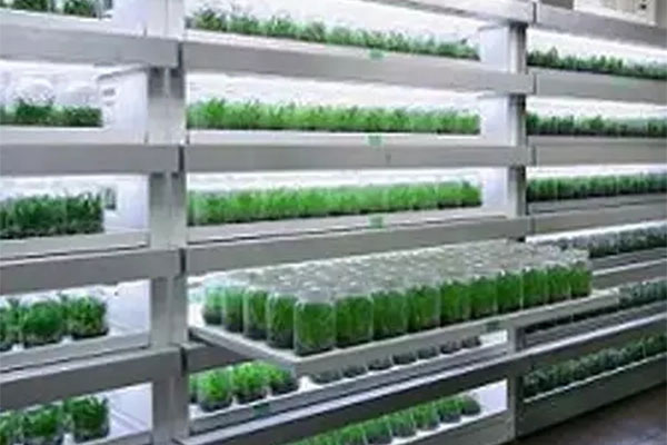 香蕉视频下载地址链接室