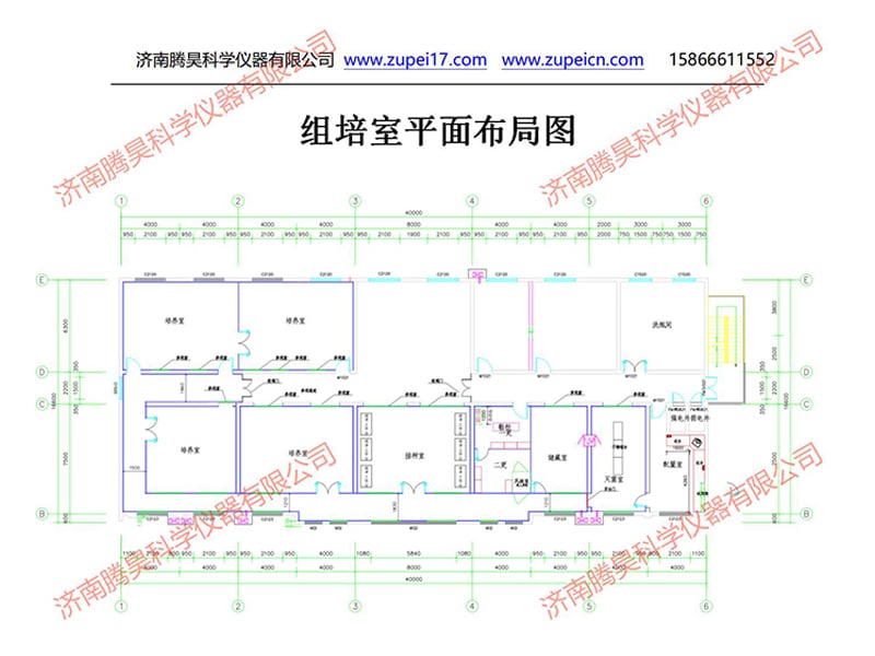 济宁香蕉视频下载地址链接室设计