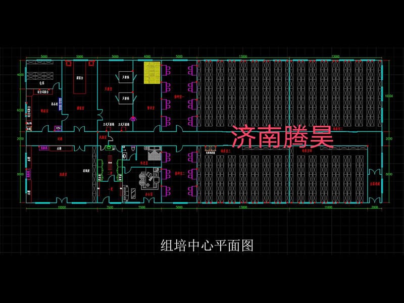 900平米香蕉视频下载地址链接室平面设计图