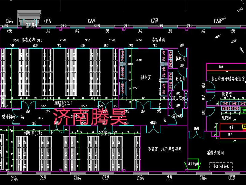 香蕉视频下载地址链接  香蕉视频下载地址链接室