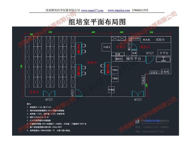 香蕉视频下载地址链接室