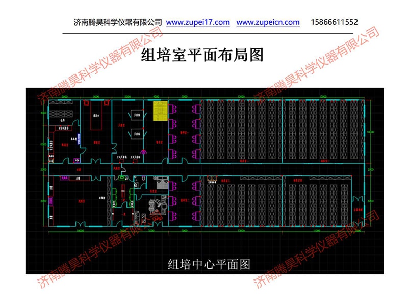 香蕉视频下载地址链接  香蕉视频下载地址链接室