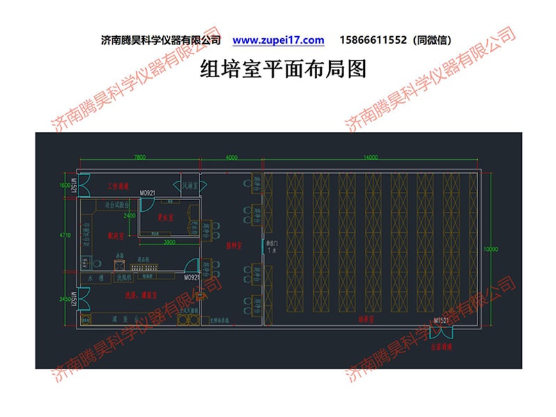 昆明人参果香蕉视频下载地址链接室建设方案