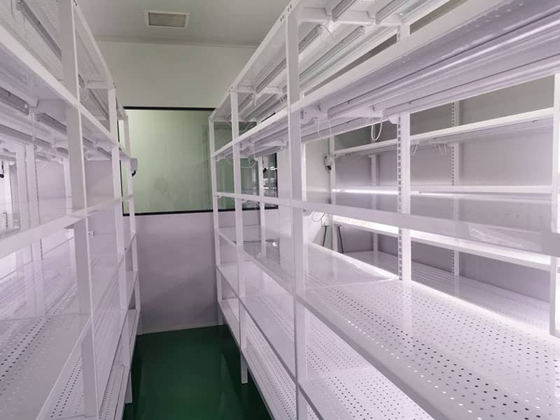 香蕉视频下载地址链接  香蕉视频下载地址链接架