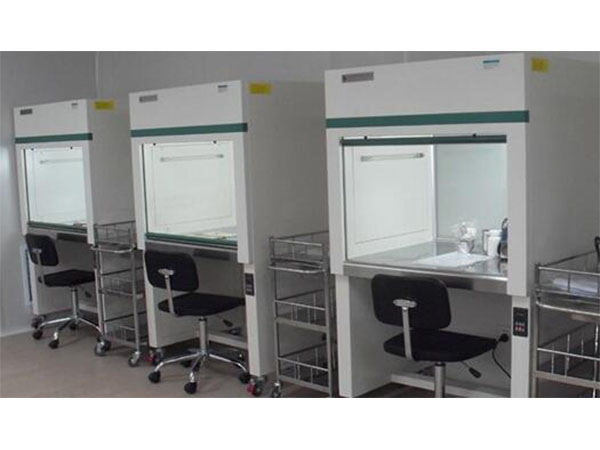 树莓香蕉视频下载地址链接苗移栽技术