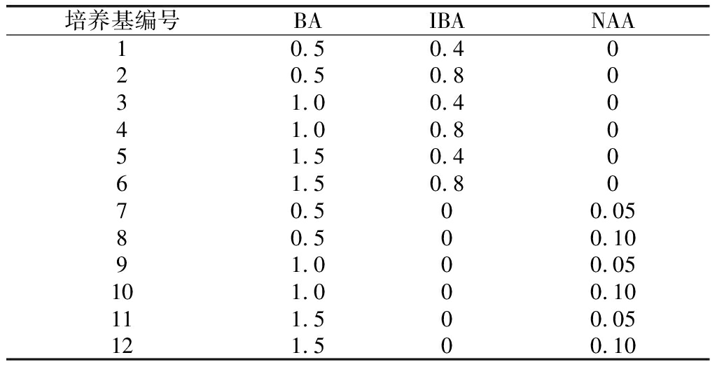 黑枸杞香蕉视频下载地址链接育苗技术的研究