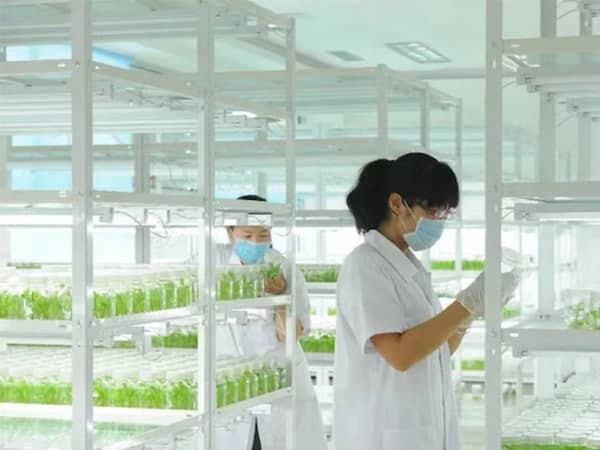 香蕉视频APP在线观看香蕉视频下载地址链接架产品参数