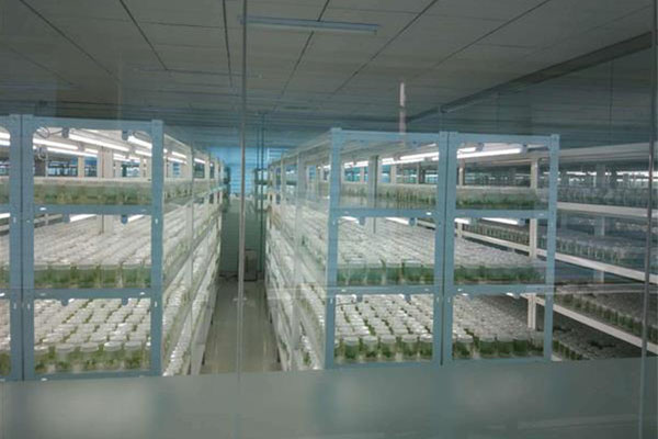 香蕉视频下载地址链接室应具备哪些条件