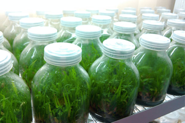 香蕉视频下载地址链接仪器