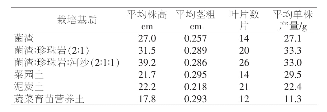 黄精香蕉视频下载地址链接苗移栽技术研究