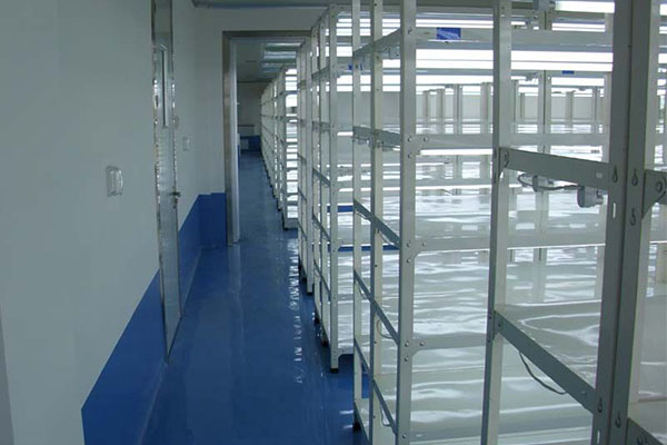 香蕉视频下载地址链接室