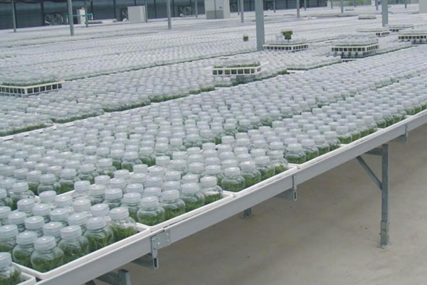 香蕉视频下载地址链接室