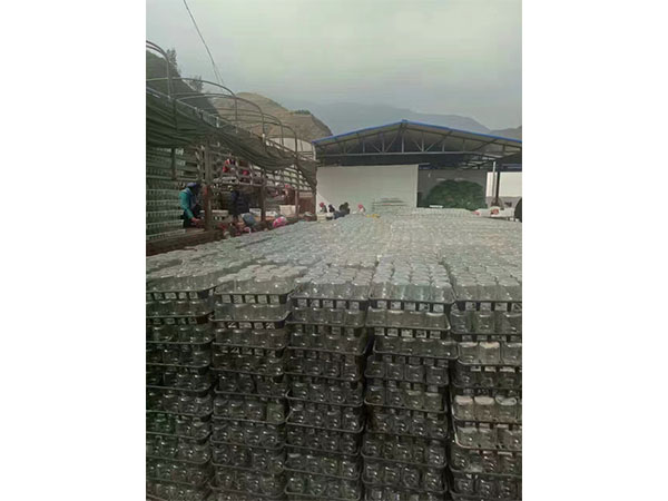 多花黄精根茎芽高效香蕉视频下载地址链接的试验材料与方法