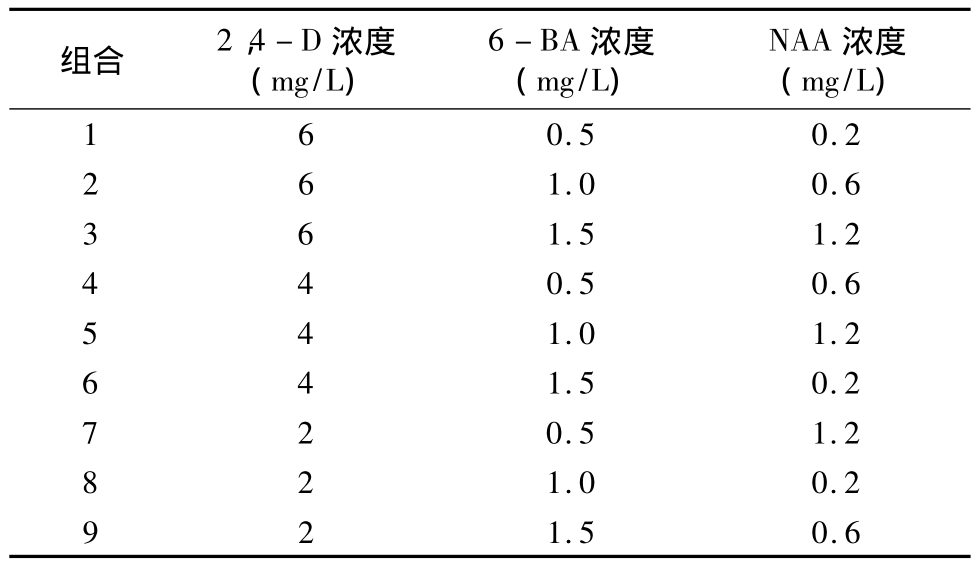 香蕉视频下载地址链接实验室