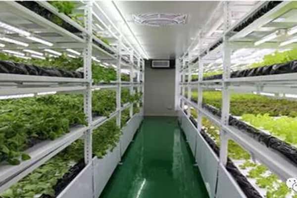 香蕉视频下载地址链接