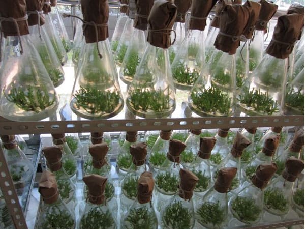 香蕉视频下载地址链接