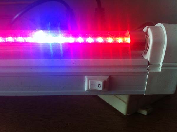 香蕉视频下载地址链接  香蕉视频下载地址链接设备