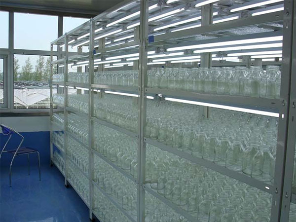 香蕉视频下载地址链接架的使用特点