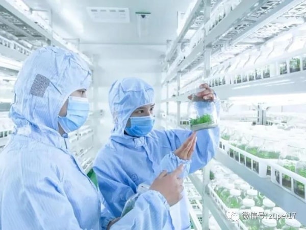 香蕉视频下载地址链接室建设之前应该做哪些准备？