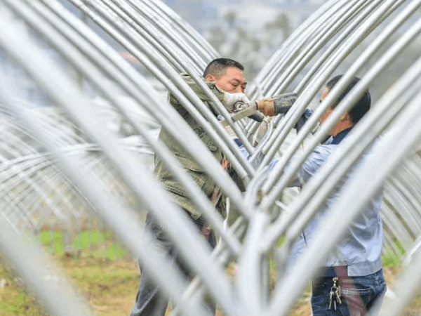 香蕉视频下载地址链接设备厂家带大家了解一下拱形大棚