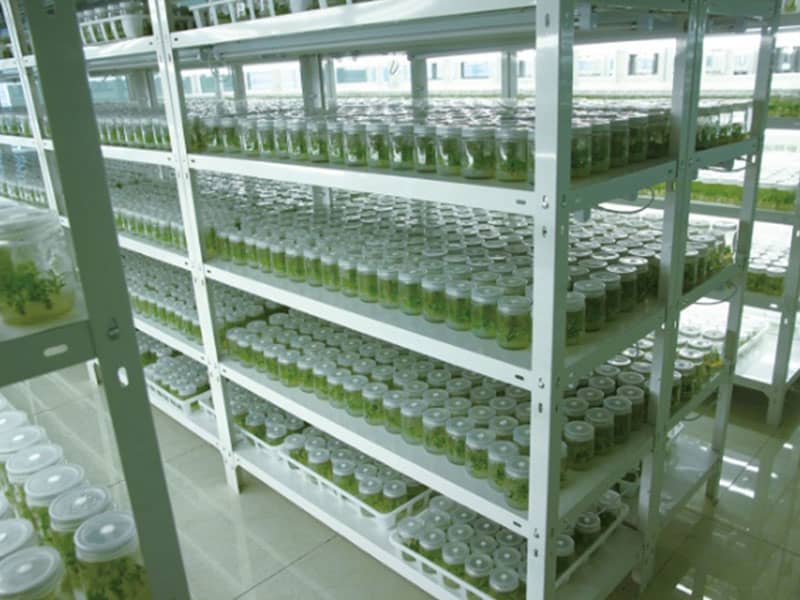 香蕉视频下载地址链接  香蕉视频下载地址链接设备