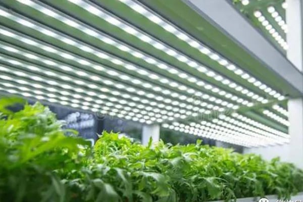 香蕉视频下载地址链接室建设