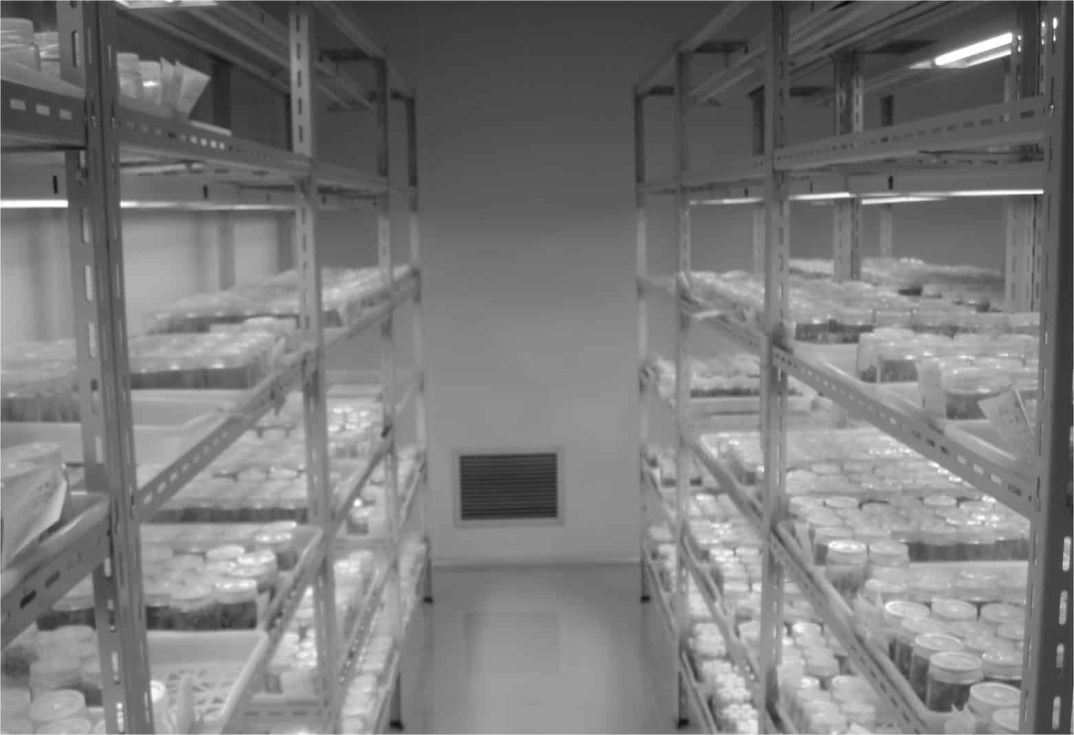 香蕉视频下载地址链接生产智能化的应用前景