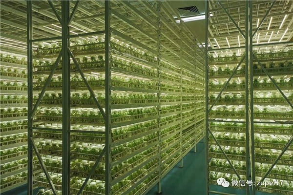 香蕉视频下载地址链接仪器设备&mdash;&mdash;卧式矩形灭菌器