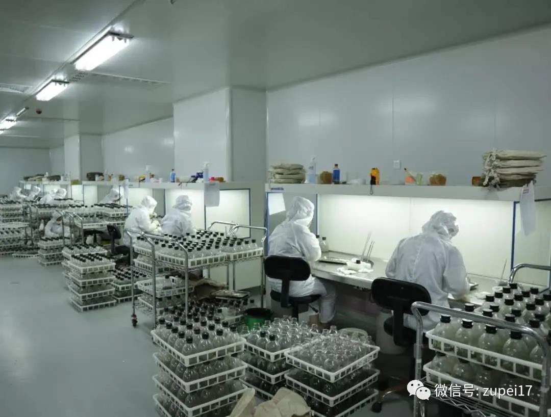 香蕉视频下载地址链接