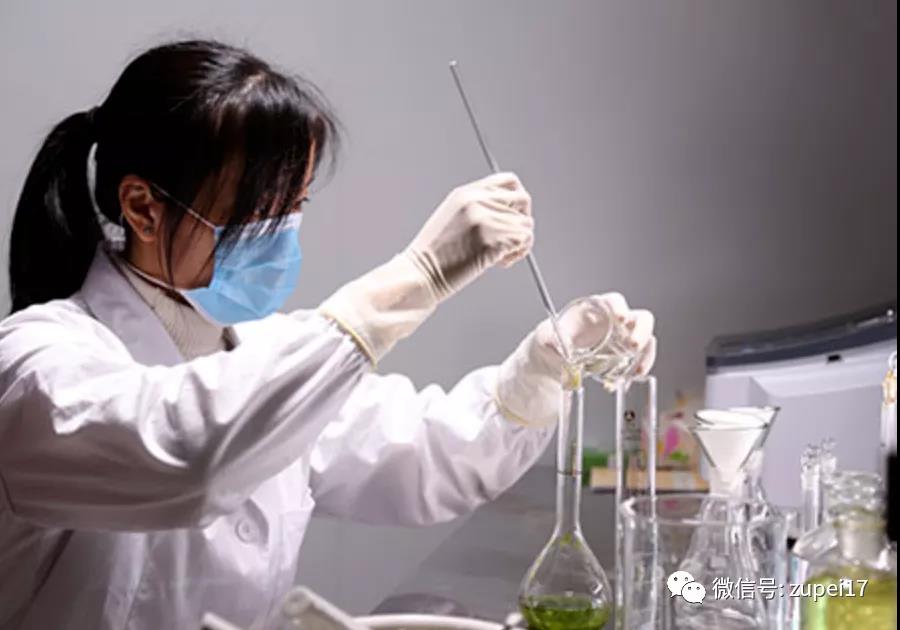 香蕉视频下载地址链接